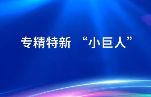 【喜聞】| 羚控科技榮獲國家級第四批專精特新“小巨人”企業稱號