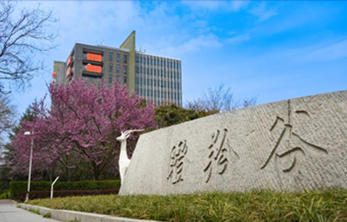 十年礪金，共襄未來！羚控科技成立十周年，開啟新征程